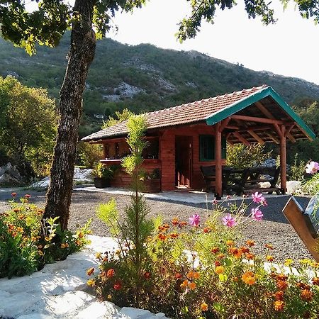 Camp Oaza,Lipa Hotell Cetinje Exteriör bild