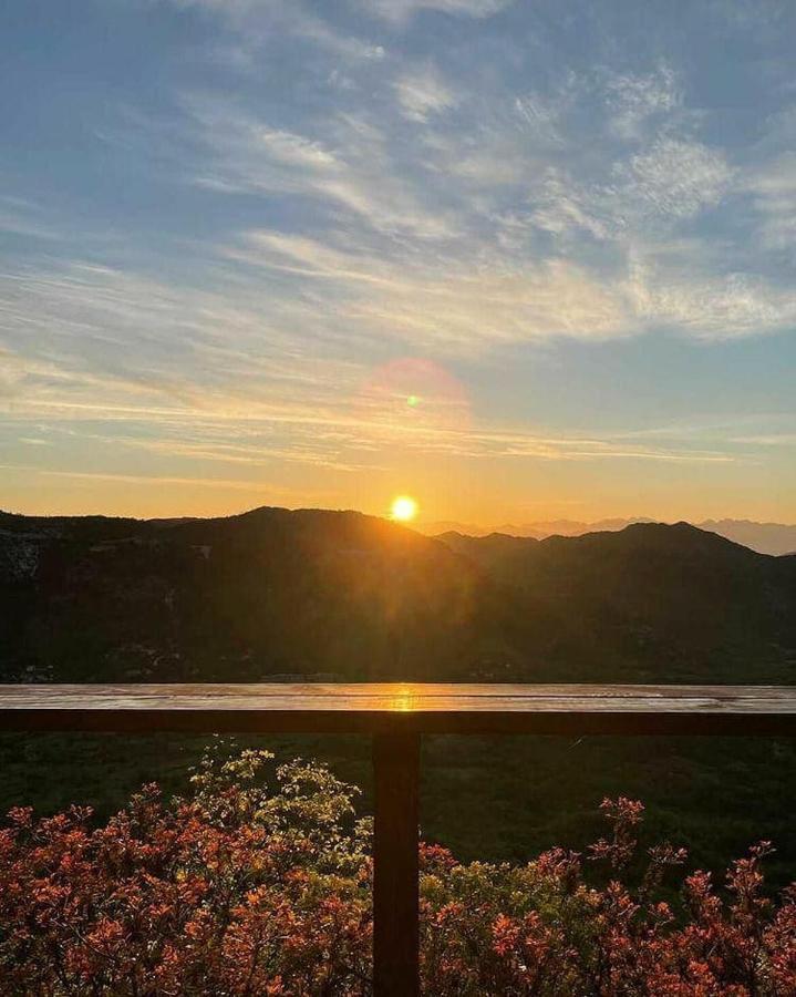 Camp Oaza,Lipa Hotell Cetinje Exteriör bild