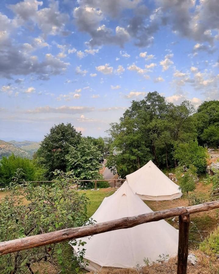 Camp Oaza,Lipa Hotell Cetinje Exteriör bild