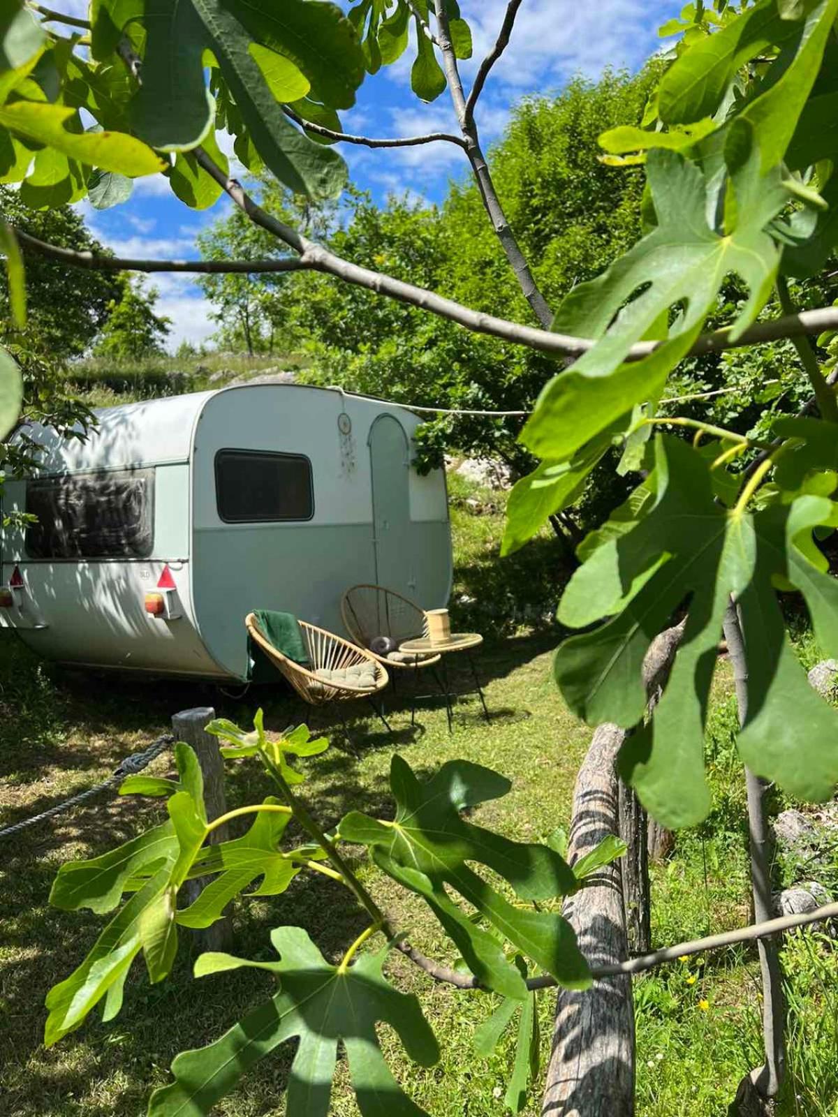 Camp Oaza,Lipa Hotell Cetinje Exteriör bild